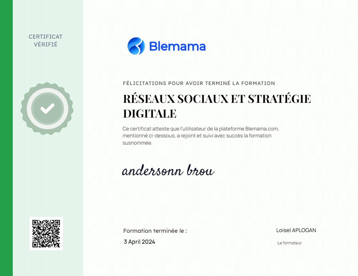 RÉSEAUX SOCIAUX ET STRATÉGIE DIGITALE