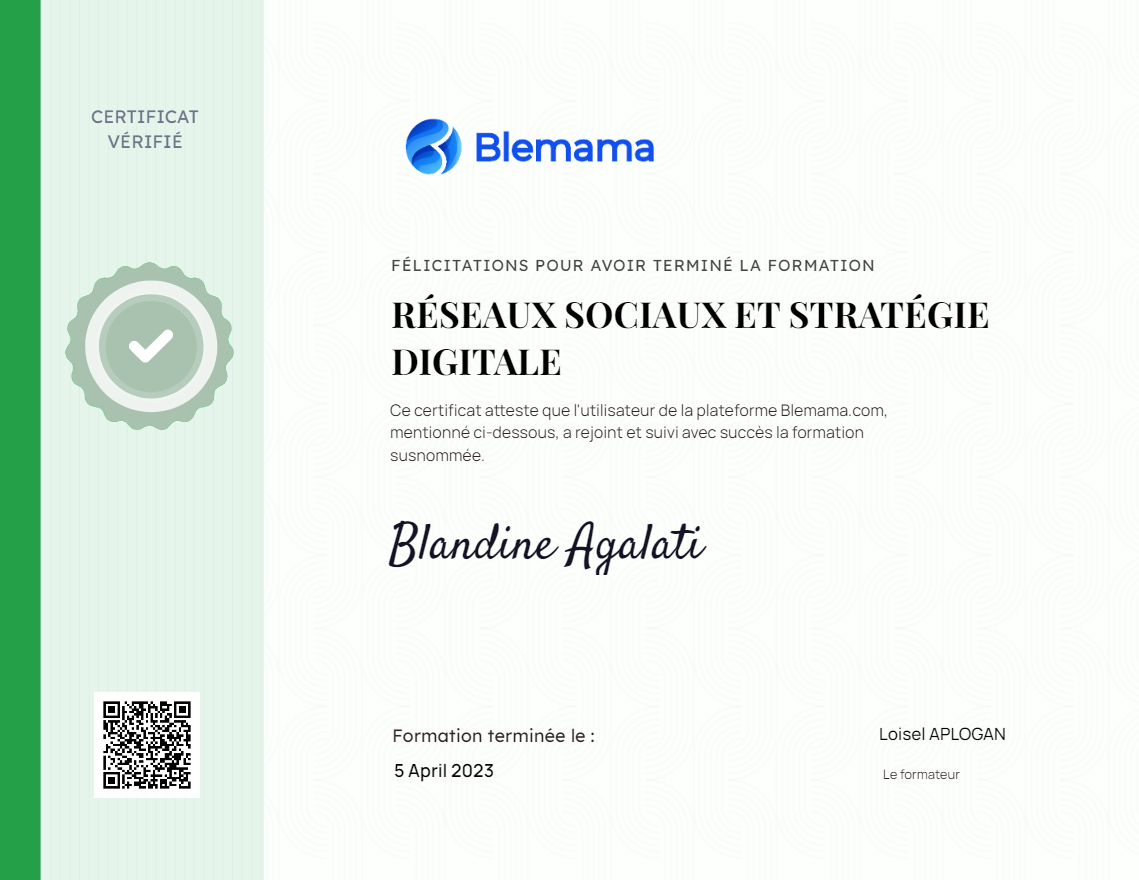RÉSEAUX SOCIAUX ET STRATÉGIE DIGITALE